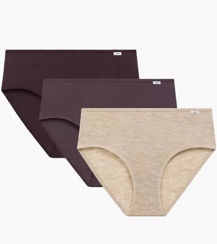 3CLP-011/Z25 Maxi Dámske nohavičky Atlantic beige-wine-purple - bavlna, 3 ks.