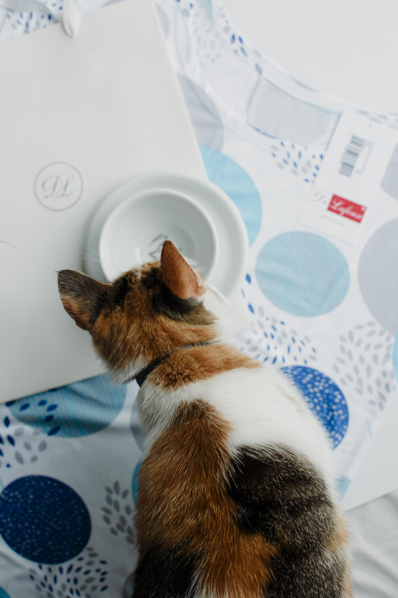 860 Nočná košeľa Amelia De Lafense - krátky rukáv, mäkká viskóza - tyrkysová