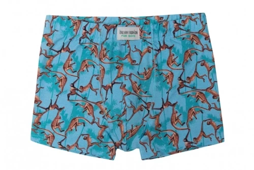 Chlapčenské boxerky Hugon Italian Fashion