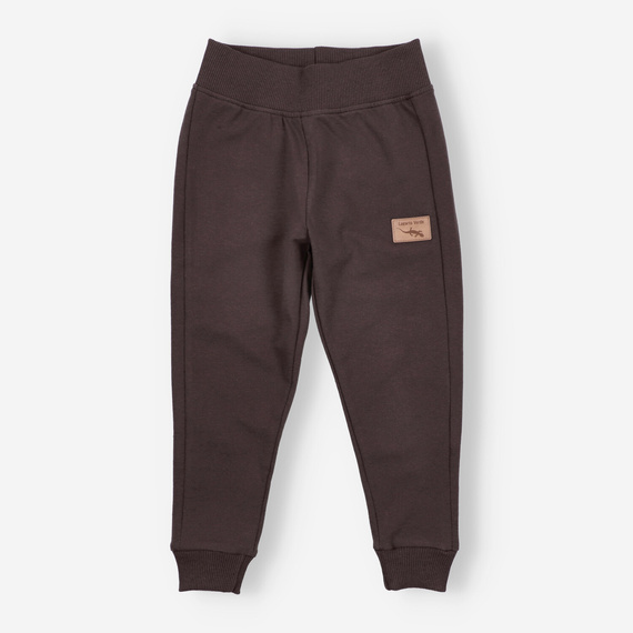 KAR-0040/BRA Teplákové nohavice pre chlapca Lagarto Verde chocolate - pohodlné, bavlnené, poľská výroba