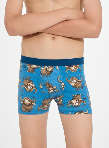 Chlapčenské boxerky Cornette Young Boy 700/159 Bulls 2 bavlnené