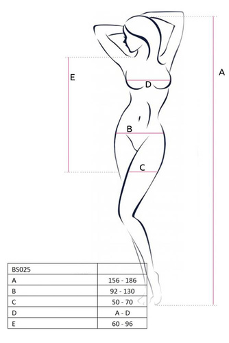 BS025 Bodystocking Passion black