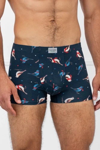 Remiz Pánske boxerky Italian Fashion - bavlna, elastan, farebný vzor