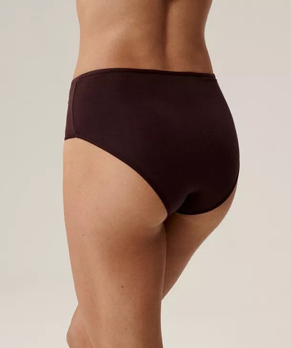 3CLP-011/Z25 Maxi Dámske nohavičky Atlantic beige-wine-purple - bavlna, 3 ks.