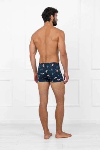 Remiz Pánske boxerky Italian Fashion - bavlna, elastan, farebný vzor