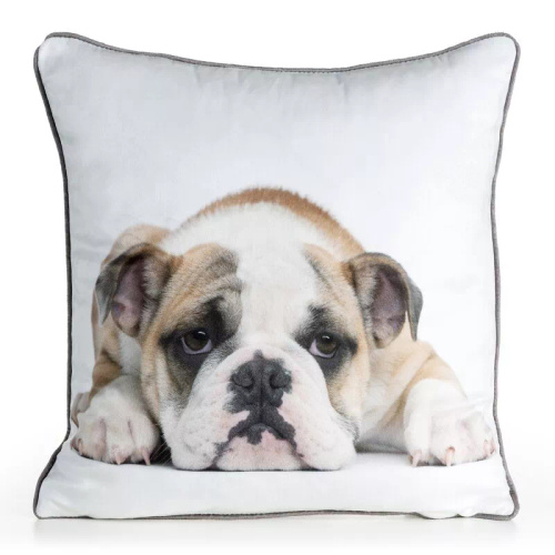 Obliečka Animal 45x45 zamat Eurofirany so zipsom buldog