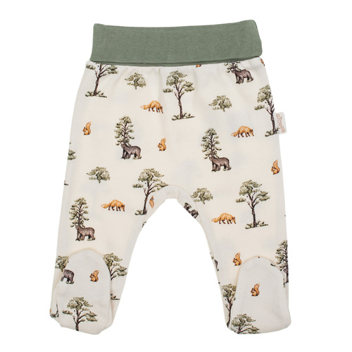 218009 Bavlnený polospáč Yogi Bear Nicol - lesný vzor